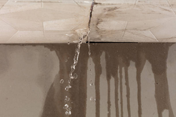 Professional Water Damage Repair technician working in Stowell, TX